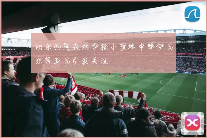 切尔西阿森纳争抢小蜜蜂中锋伊戈尔蒂亚戈引发关注