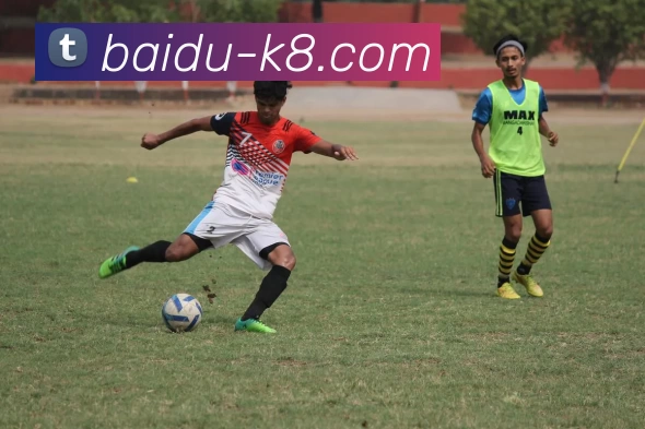 App Interface Preview